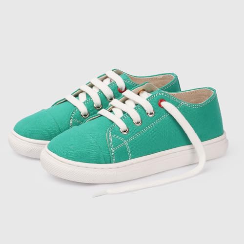 Image of toothless Canvas Shoes | Lace-Up Closure | Durable Canvas Upper | Cushioned Sole | Everyday Casual Wear for Kids