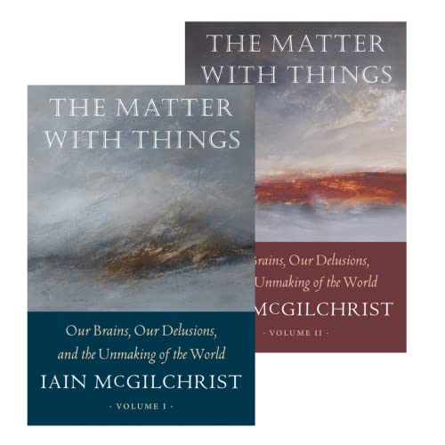 Portada de The Matter With Things: Our Brains, Our Delusions, and the Unmaking of the World