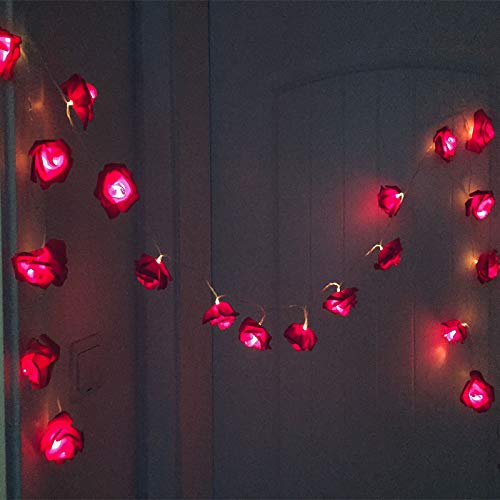 Alodidae Indoor String Rose Lights, 20 Led Battery Operated Flower Hanging Lights For Valentine's Day Wedding Anniversary Spring Party Decorations, Teen Girls Bedroom Decor, Gift Idea (Red) #TOP1