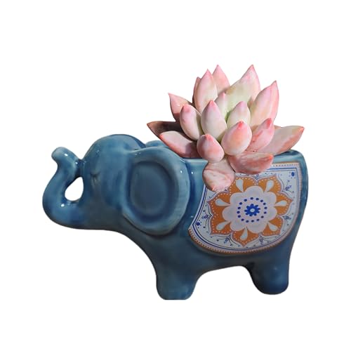 SJBAG Cute Animal Elephant Shaped Ceramic Succulent Cactus Air Plant Flower Pots Planters-Plant Not Included (Deep Blue)