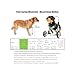 Dog Wheelchair for Front Legs Adjustable, Small Dog Carts with 4-Wheeled, Pet Wheel Chair with Front Limb Walking Mobility Aids Lightweight for Front Leg Weak Pet Hip Support(Small)