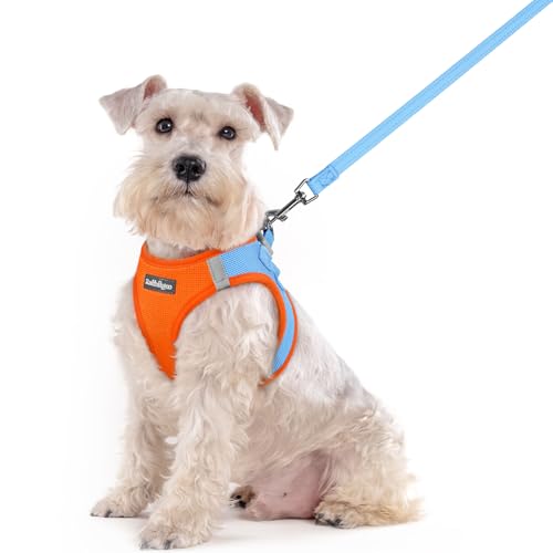 Image of rabbitgoo Dog Harness Medium Sized and Leash Set, Step-in Puppy Pet Vest