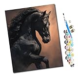 WMZPOY Pintar por numeros para Adultos El semental negro se eleva por los aires Cuadro de Pintura por números Adultos y para niños-Lienzo pre Dibujado con numeros para Pintar con Pinceles 40x50cm