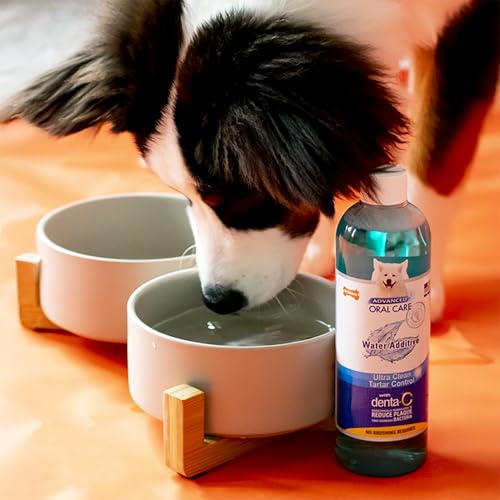 Image of Nylabone Advanced Oral Care Pet Dental Water Additive, Liquid Tartar Remover & Breath Freshener for Dogs, Dog Teeth-Cleaning, Original Flavor, 16 oz.