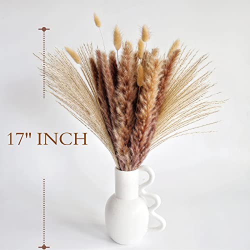 image for ANPROOR Natural Dried Pampas Grass Decor, Brown Pampas Grass， Bunny 