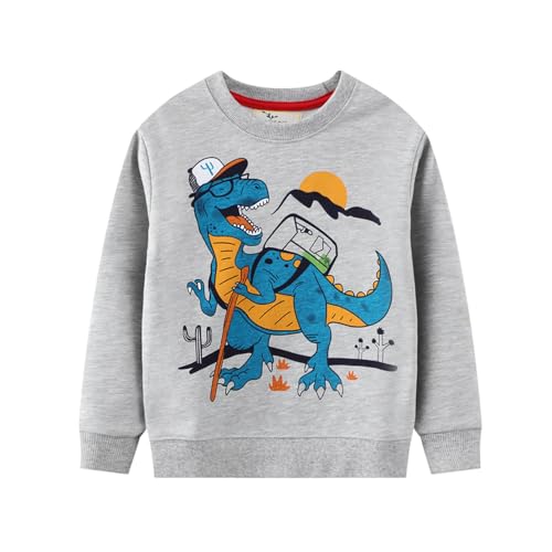 Boys Sweatshirts Casual Sweatshirts Cotton Sweatshirts Long Sleeve T-shirts Crew Neck Cartoon Tops for Boys-757