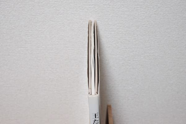 【王たちの肖像－浅草寺堺内】鬼海弘雄　帯付　★★大幅に値下げしました 王たちの肖像－浅草寺堺内】鬼海弘雄 帯付 1987年初版発行