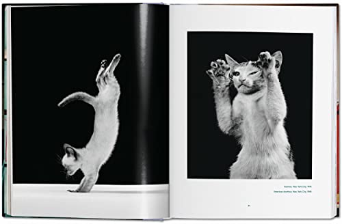 Cats: Photographs 1942 - 2018