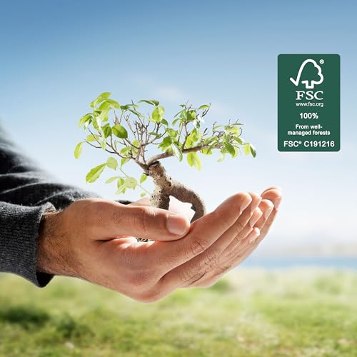 ARKRAFT Serpentine Luftschlangen 12 Rollen Mehrfarbig Gestreift und Gemustert, Party-Dekoration für Karneval und Geburtstag (P12 Mix)