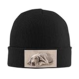 cuccioli weimaraner milano Servizio clienti: vogliamo che i clienti siano soddisfatti - non esitate a contattarci se avete domande sui nostri cappelli senza tetto classici. Il nostro team è sempre pronto per aiutarvi.