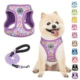 BEAUTYZOO 小型犬用ハーネスとリーシュセット、ステップインチョークなし プルなし ソフトメッシュ 犬用ハーネス 反射 超小型/小中型子犬 犬と猫用、カラフル XS