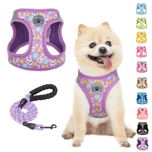 BEAUTYZOO 小型犬用ハーネスとリーシュセット、ステップインチョークなし プルなし ソフトメッシュ 犬用ハーネス 反射 超小型/小中型子犬 犬と猫用、カラフル XS