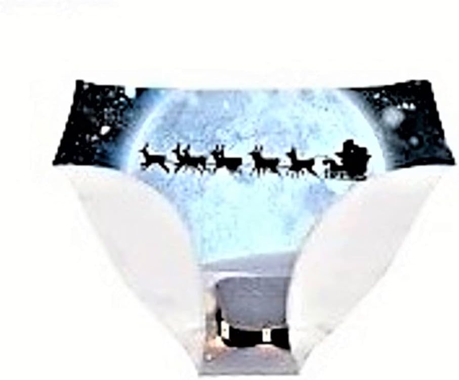 3D Print Panty Briefs Underwear for Women Skull/Sloth/Cat/Dog/Avocado/Galaxy/Rose/Lip/Flag (Medium, Santa & Reindeers) : Clothing, Shoes & Jewelry