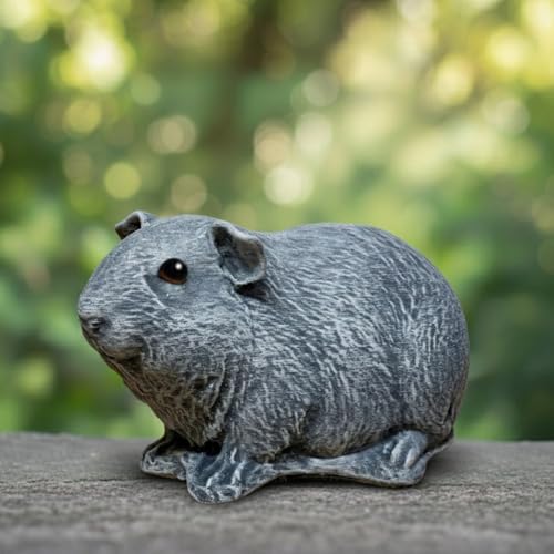 OLOMA Concrete Guinea Pig Garden Statue Realistic Animal Sculpture with Protective Resin Coating Heavy Stone Outdoor Indoor Decor for Yard Lawn Patio Entryway Landscape Accent for Home