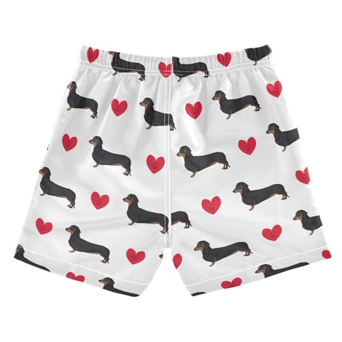 Boys Swim Trunks Quick Dry Dachshund Heart Beach Board Shorts with Mesh Lining Youth Swimwear 2-12T2