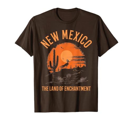 New Mexico Land of Enchantment Roadrunner Desert Vintage T-Shirt, Men, Brown, Medium