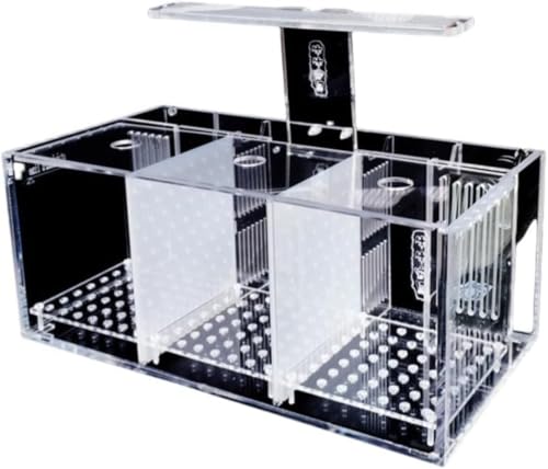 Barino  fXNgbvp̃~jAN ȏzԐƕaC̋̊u sṽEH[^[|vƃtB^[oPc (3Rp[gg fbNXiX^_[hf + Cgj)