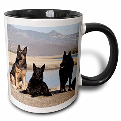 3dRose Four German Shepherd dogs 11oz Two-Tone Black Mug