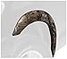 Stampede 8606-17 Original Riderz Fender Flare with Realtree AP Pattern, Camo
