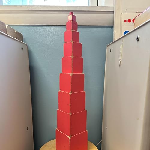 The Absorbent Mind Titelbild