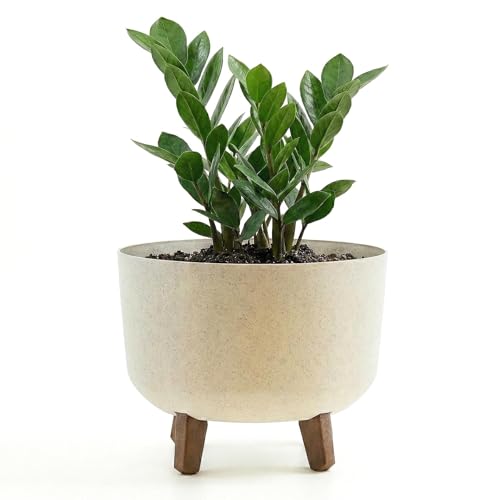 GEEZY Round Plant Pot with Legs, 29cm - Cream Stone Effect Outdoor & Indoor Planter - Modern Flower Pot Stand with Drainage & Self Watering Reservoir for House Plants, Succulents & Living Room