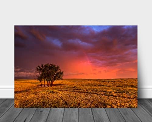 Great Plains Wall Art (Ready to Hang) Metal Print of Rainbow in Stormy Sky Over Trees on Open Prairie in Oklahoma Landscape Photography Western Decor 8x10 to 24x36