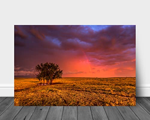 Great Plains Wall Art (Ready To Hang) Metal Print Of Rainbow In Stormy Sky Over Trees On Open Prairie In Oklahoma Landscape Photography Western Decor 8X10 To 24X36 #TOP2