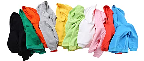 Ziweistar Unisex Toddler Baby Boy Girl Hoodies Sweatshirt Casual Hooded Pullover Little Girls Boys Fall Winter Clothes #TOP2
