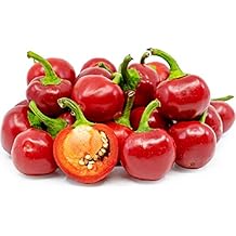 Red Sweet Cherry Pepper Seeds 25 Count, COOL BEANS N SPROUTS Brand. Home Gardening.