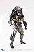 Hiya Toys Alien vs. Predator: Temple Guard Predator 1:18 Scale Action Figure, Multicolor