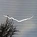 CMI291 Crack In Time - DW - Vinyl Decal | White | 6.25" Wide