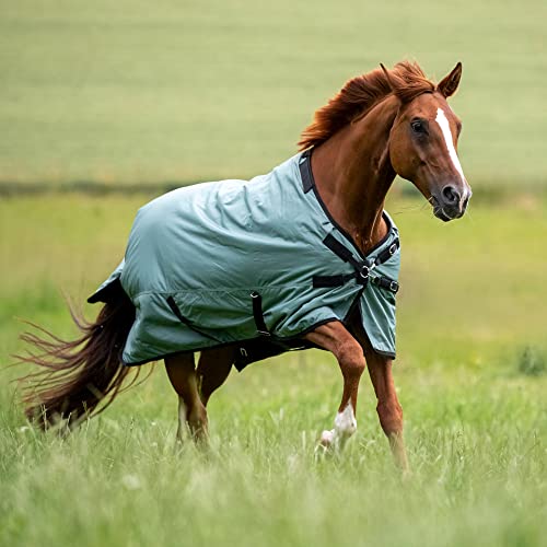 Outdoordecke FLEXIBLE PRO 50