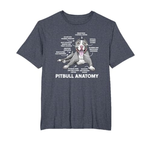 Pitbull Anatomy Funny Bulldog Lover Dog Owner T-Shirt, Men's Big and Tall, Heather Blue, 2X Tall