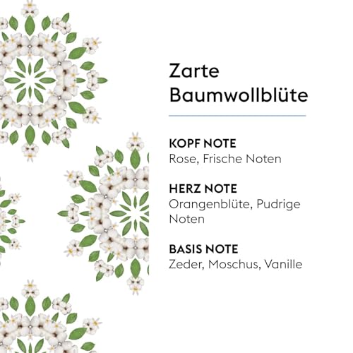 MAISON BERGER – Geschenkset Lampe Berger Essentielle Ronde mit 2 Nachfüllungen à 250 ml – Air Pur & Zarte Baumwollblüte – Katalytische Duftlampe – Feine, Gleichmäßige Diffusion, Klar