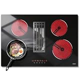 Hobsir Electric Cooktop 30 Inch with Downdraft, 4 Burner Radiant Cook top 6000W, Ductless Downdraft Electric Cooktop 496m³/h, 30” Stove Top with 9 Power Level, Timer, Safety Lock, 220V