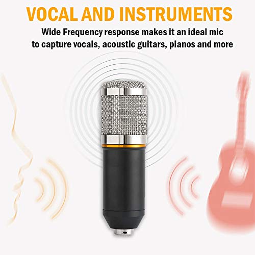 Navor Condenser Microphone Combo, Cardioid Professional Pc Mic Kit With Adjustable Mic Suspension Scissor Arm, Shock Mount And Pop Filter For Studio Recording & Broadcasting & Gaming #TOP1