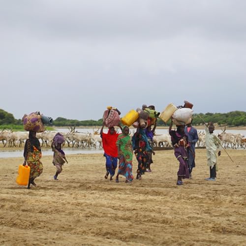 When the perpetrator is the climate