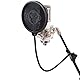 Monkey Banana Monkey Pop pop filter