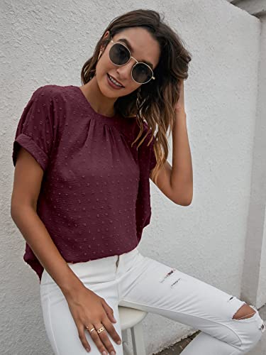 Milumia Women's S Casual Swiss Dots Chiffon Ruffle Front Short Sleeve Work Office Blouse Top Claret Small #TOP2