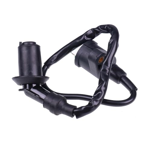 Holdwell Ignition Coil 150cc 50cc GY6 Scooter ATV Moped Chinese