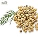iSpice Whole White Peppers Spices and Seasonings for Cooking, 7.3Ounce White Peppercorns Seasoning, Fine And Gluten Free Whole pepper white Seasoning (208g-Pack Of 1)