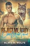 Cover zum Buch Reject Me Baby One More Time