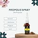 BEE&YOU Propolis Spray, Nasenspray 30 ml Propolis Extrakt, Spray für Nase, für Kinder und Erwachsene, befreit die Nase,ohne Zusatzstoffe, natürlich, ohne Alkohol & Gewöhnungseffekt, 33 Auszeichnungen