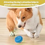 Caldamn 3 Pcs Squeaky Dog Ball Dog Squeaky Balls for Dogs Soft Latex Dog Puppy Toy Ball, for Small Pet Puppy,High Elasticity,Pet Teeth Cleaning 5.5cm Pink,Yellow,Blue(for Small Puppy) - Image 4