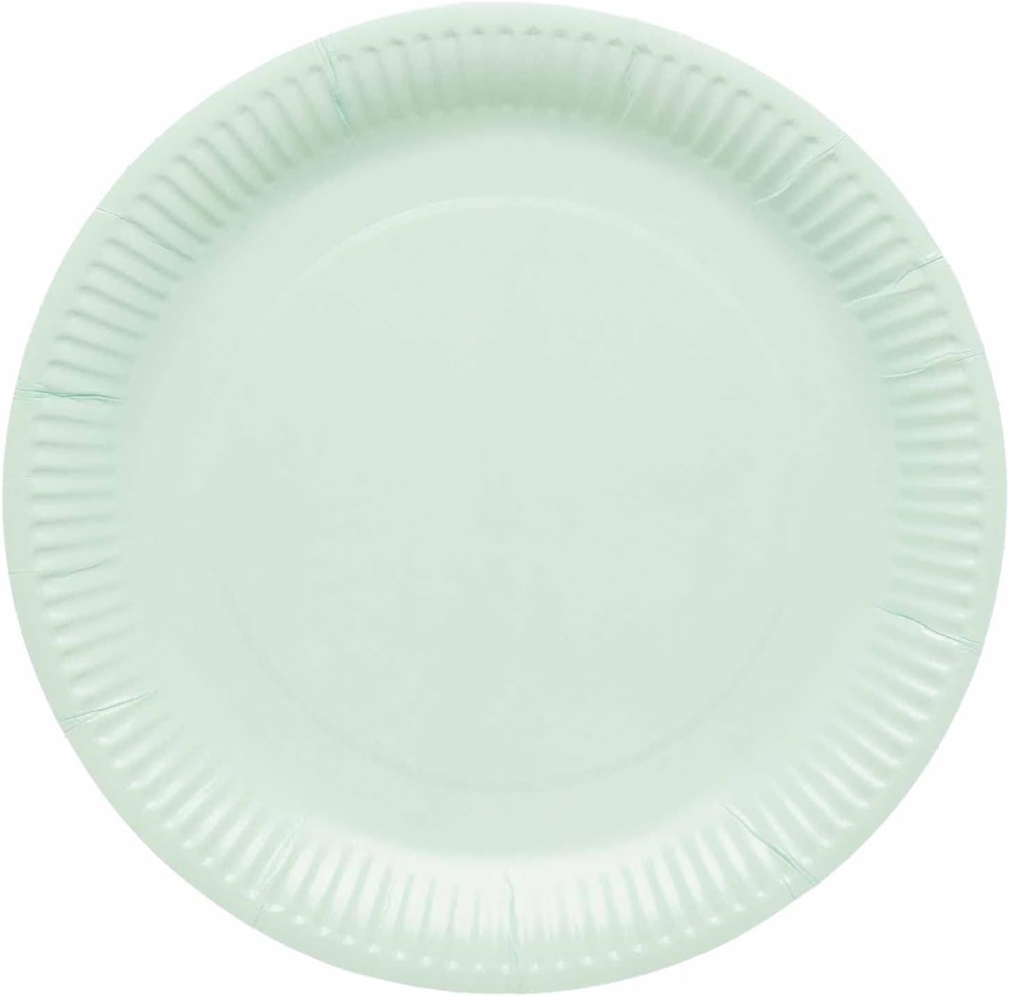 amscan 9915400-207-66 - Pastel Mint Green Eco-Friendly Recyclable Paper Party Plates - 8 Pack
