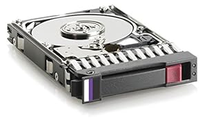 Hewlett Packard Enterprise M6625 300 GB 6 g SAS 10 K RPM SFF (2.5-inch) Dual Port Hard Drive 300 GB SAS Festplatte – Festplatten (2, 5, 300 GB, 10.000 U/min, SAS, Festplatte)