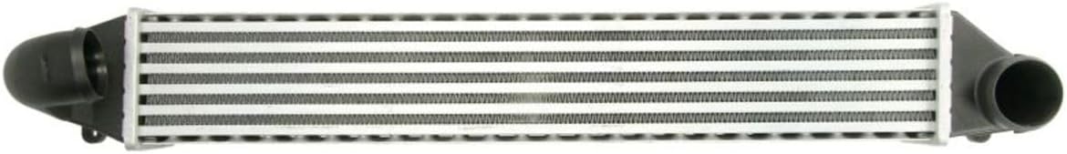 THERMOTEC DAG008TT Intercooler