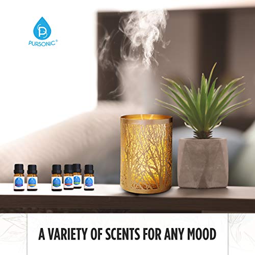 Pursonic 100% Pure Essential Aromatherapy Oils Gift Set-6 Pack, 10Ml(Bergamot, Cedarwood, Eucalyptus, Lavender, Lemon, Rosemary.) #TOP3