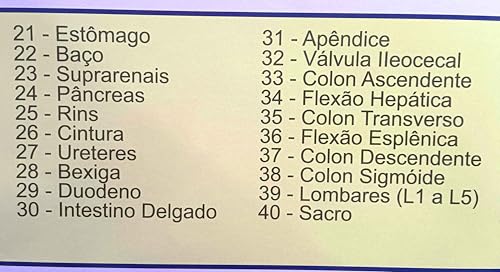 MAPA/POSTER DAS ÁREAS REFLEXAS DOS PÉS - REFLEXOLOGIA - DIMENSÕES: LARGURA 117 CM X ALTURA 89 CM