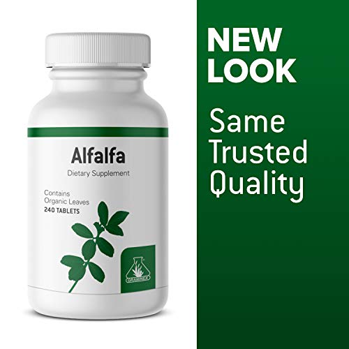 Graminex Alfalfa Tablets - Non-Gmo Green Superfood Supplement With Vitamins, Minerals, Amino Acids - 240 Tablets #TOP3